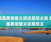 凤凰男是褒义词还是贬义词 凤凰男是褒义还是贬义 