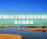 玫瑰的含义和象征暗夜玫瑰的含义和象征