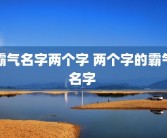 霸气名字两个字 两个字的霸气名字 