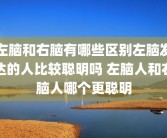 左脑和右脑有哪些区别左脑发达的人比较聪明吗 左脑人和右脑人哪个更聪明