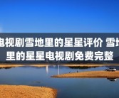 电视剧雪地里的星星评价 雪地里的星星电视剧免费完整