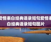 爱情表白经典语录短句爱情表白经典语录短句图片