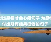 付出感情才会心疼句子 为感情付出所有结果很惨的句子 