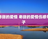 卑微的爱情 卑微的爱情伤感句子 