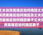 丈夫突然离婚后如何挽回丈夫突然离婚后如何挽回及丈夫突然离婚后如何挽回妻子丈夫突然离婚后如何挽回妻子