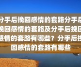 分手后挽回感情的套路分手后挽回感情的套路及分手后挽回感情的套路有哪些？分手后挽回感情的套路有哪些
