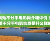 离婚不分手电影简介和评价 离婚不分手电影结局是什么样的