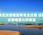 韩式纹眉哪里有专业纹眉 纹韩式眉哪里比较便宜