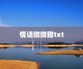 情话微微甜txt