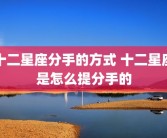 十二星座分手的方式 十二星座是怎么提分手的