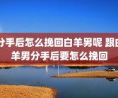 分手后怎么挽回白羊男呢 跟白羊男分手后要怎么挽回