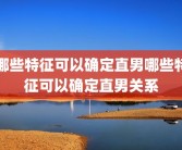 哪些特征可以确定直男哪些特征可以确定直男关系