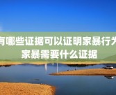 有哪些证据可以证明家暴行为 家暴需要什么证据