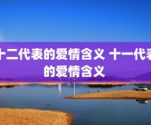 十二代表的爱情含义 十一代表的爱情含义 
