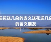 送花送几朵的含义送花送几朵的含义朋友