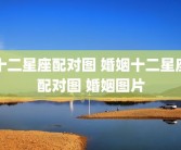 十二星座配对图 婚姻十二星座配对图 婚姻图片