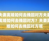 夫妻离婚如何去挽回对方夫妻离婚如何去挽回对方？夫妻离婚如何去挽回对方呢