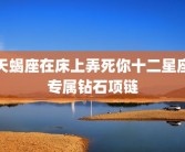 天蝎座在床上弄死你十二星座专属钻石项链