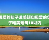 母爱的句子唯美短句母爱的句子唯美短句10以内