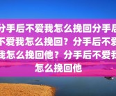 分手后不爱我怎么挽回分手后不爱我怎么挽回？分手后不爱我怎么挽回他？分手后不爱我怎么挽回他