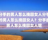 分手的男人怎么挽回女人分手的男人怎么挽回女人？分手的男人怎么挽回女人呢