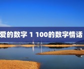 爱的数字 1 100的数字情话 