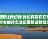 暗恋让我伤神 我的真爱你在哪 青春的暗恋注定要以遗憾收场
