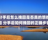 分手后怎么挽回是否真的想挽回 分手后如何挽回的正确步骤
