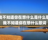 我不知道你在想什么是什么歌 我不知道你在想什么歌词