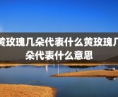黄玫瑰几朵代表什么黄玫瑰几朵代表什么意思