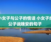 小女子与公子的情话 小女子给公子说晚安的句子 