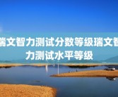瑞文智力测试分数等级瑞文智力测试水平等级