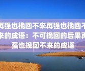 再强也挽回不来再强也挽回不来的成语：不可挽回的后果再强也挽回不来的成语