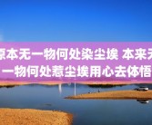 原本无一物何处染尘埃 本来无一物何处惹尘埃用心去体悟