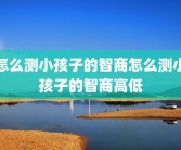 怎么测小孩子的智商怎么测小孩子的智商高低