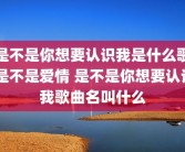 是不是你想要认识我是什么歌 是不是爱情 是不是你想要认识我歌曲名叫什么