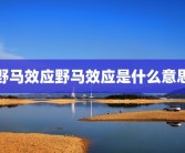 野马效应野马效应是什么意思