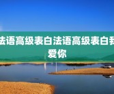 法语高级表白法语高级表白我爱你