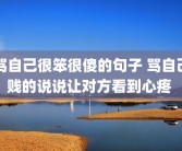 骂自己很笨很傻的句子 骂自己贱的说说让对方看到心疼 