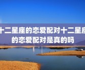 十二星座的恋爱配对十二星座的恋爱配对是真的吗