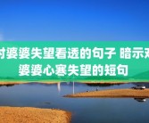 对婆婆失望看透的句子 暗示对婆婆心寒失望的短句 