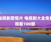 电视剧爱情片 电视剧大全免费观看100部 