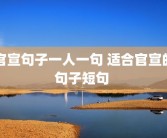 官宣句子一人一句 适合官宣的句子短句 