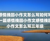 感情挽回小作文怎么写如何写一篇感情挽回小作文感情挽回小作文怎么写三年级
