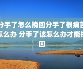 分手了怎么挽回分手了很痛苦怎么办 分手了该怎么办才能挽回