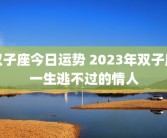 双子座今日运势 2023年双子座一生逃不过的情人