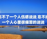 忘不了一个人伤感说说 忘不掉一个人心里很痛苦的说说 