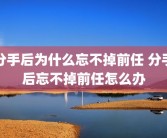 分手后为什么忘不掉前任 分手后忘不掉前任怎么办