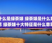 什么是绿茶婊 绿茶婊是什么意思 绿茶婊十大特征是什么意思