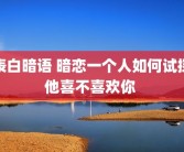 表白暗语 暗恋一个人如何试探他喜不喜欢你 